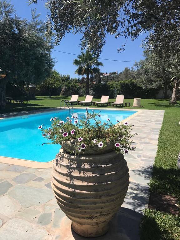 Villa Irini Szpécesz Kültér fotó